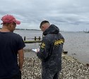 Рыбоохрана на Сахалине изъяла 2 килограмма икры, больше сотни орудий лова и одну машину