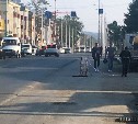 Власти Южно-Сахалинска: ремонт тротуаров с обеих сторон улицы – не нарушение
