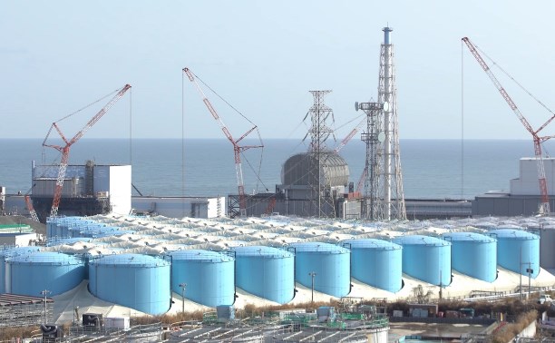 "Запечатали смолой": оператор "Фукусимы-1" ликвидировал загрязнённую радиоактивной водой почву