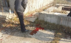 Происшествия