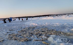 Общество