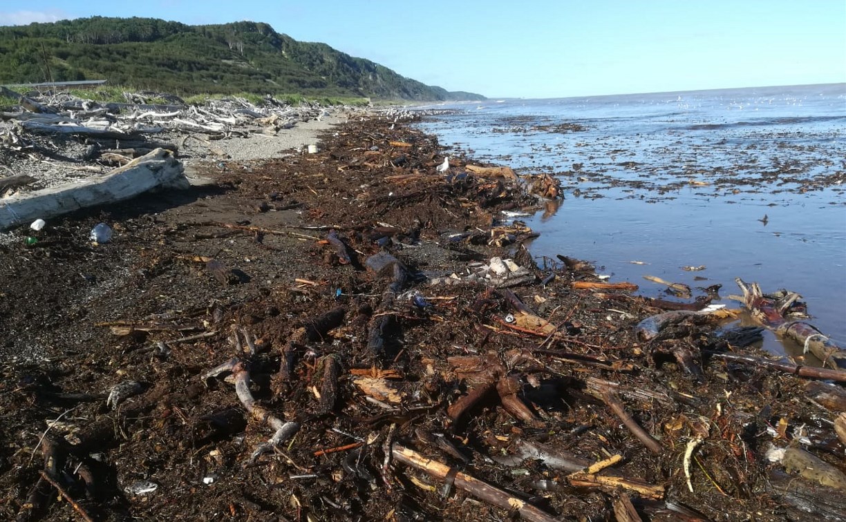 В Макарове пляж завалило горами мусора, перемешанного с дохлой рыбой