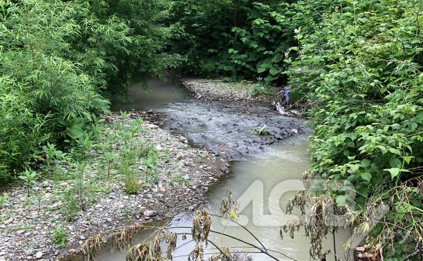 Жители Долинска сообщают о появлении мутной жижи с запахом хлорки в местной реке