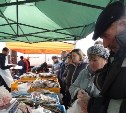 Еще одна сельскохозяйственная ярмарка открылась в Южно-Сахалинске