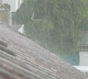 Дожди и порывистый ветер вновь накроют районы Сахалина