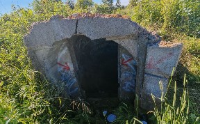 Общество