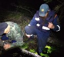 Грибника, заблудившегося в районе Мицулевки, нашли спасатели