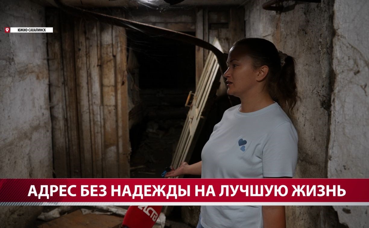 Голуби, тараканы, грязь и мокрый подвал: южносахалинцы бьют тревогу из-за состояния своего дома