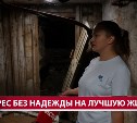 Голуби, тараканы, грязь и мокрый подвал: южносахалинцы бьют тревогу из-за состояния своего дома
