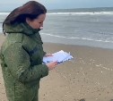 На берегу Охотского моря найдено тело пожилого мужчины