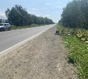 Очевидцев ДТП в районе Березняков ищет ОГИБДД Южно-Сахалинска