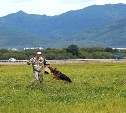 На Сахалине завершились соревнования по многоборью со служебными собаками 