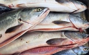 Происшествия