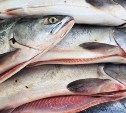 На Сахалине под суд пойдет браконьер, который напорол 7,5 кг икры, а рыбу выбросил в реку
