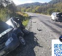 Очевидцев аварии с пострадавшим на холмской трассе разыскивают на Сахалине 