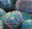 Более 1,5 тонн отходов сдали сахалинцы за время новогодних каникул