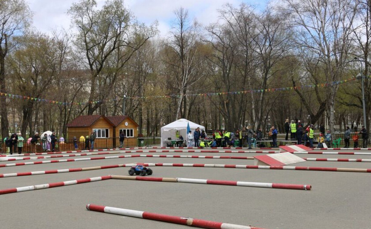 В парке Южно-Сахалинска 6 мая будут уничтожать иксодовых клещей
