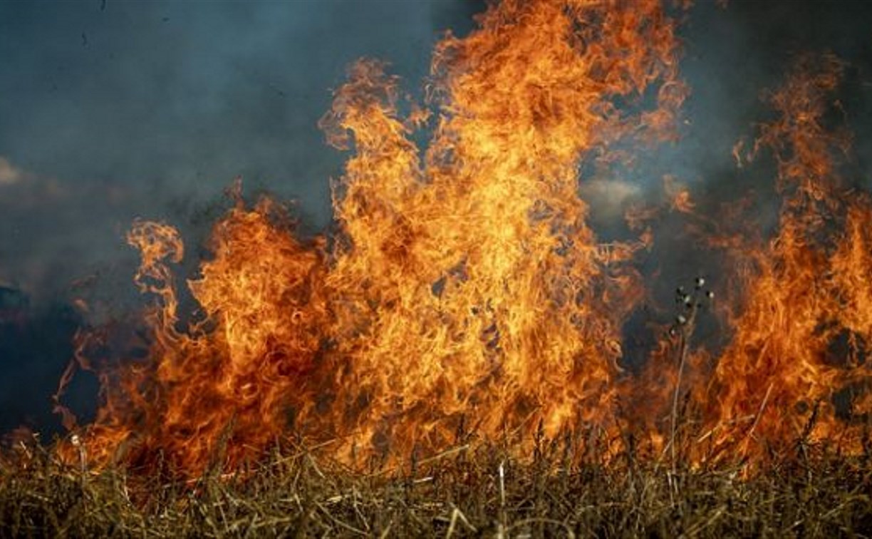 В Углегорском районе тушили горящую траву у дома