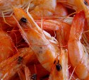 Полтонны нелегальных морепродуктов обнаружили на судне в порту на Сахалине