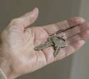 Верховный суд запретил "схему Долиной"