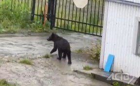 Происшествия