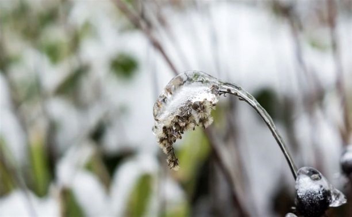 Дыхание зимы ненадолго отпустит Сахалин - почти везде потеплеет на 4-8 градусов