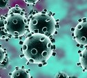 ВОЗ призвала Россию готовиться к возможному росту числа случаев заражения коронавирусом