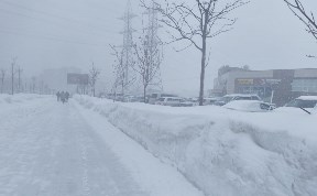 Общество