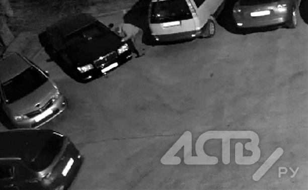Мужчина ночью стянул "светлячки" с авто в Южно-Сахалинске, но попал на видео