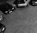 Мужчина ночью стянул "светлячки" с авто в Южно-Сахалинске, но попал на видео