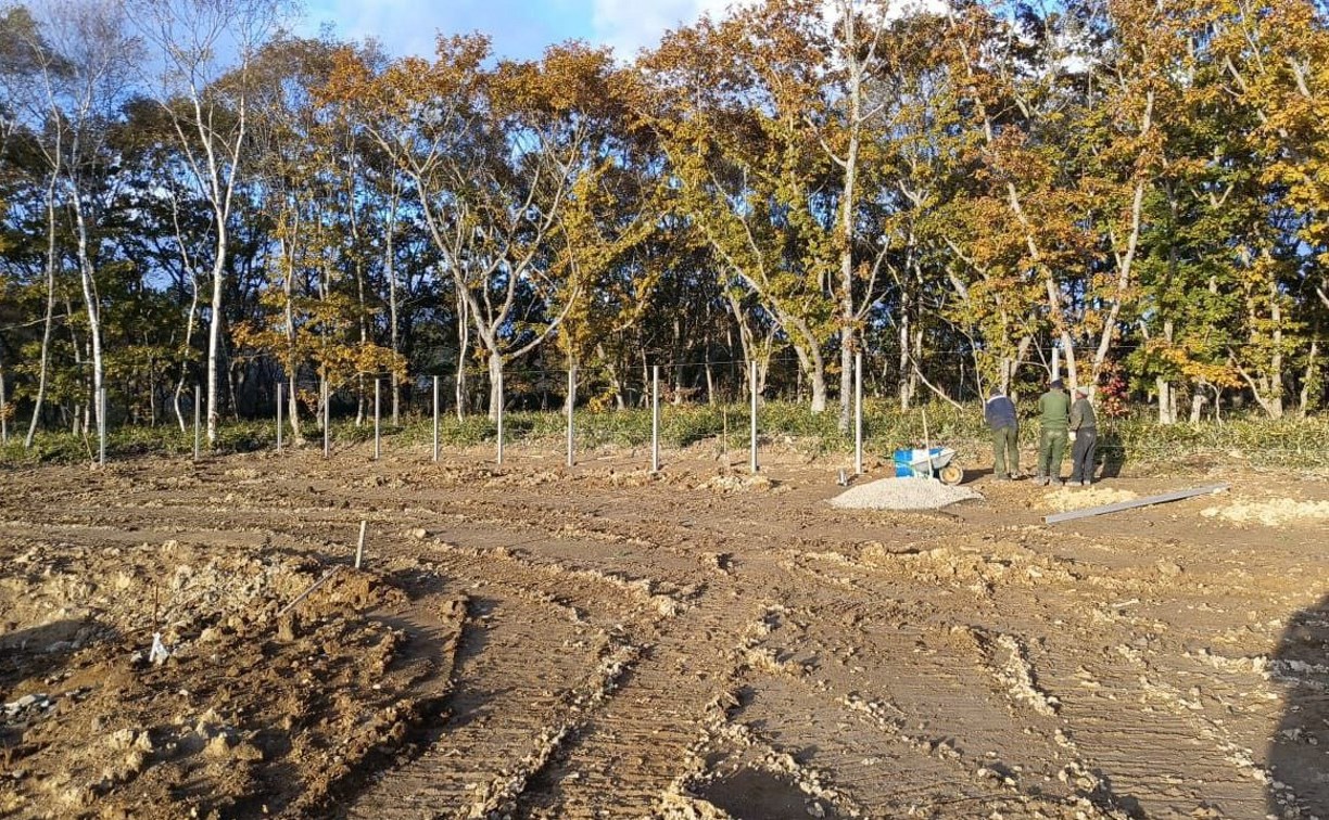 Новый дом для бездомных собак и кошек строят на Кунашире  Новый дом для бездомных собак и кошек строят на Кунашире