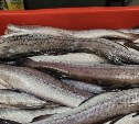 Где в Южно-Сахалинске купить свежую и вкусную рыбку - список адресов