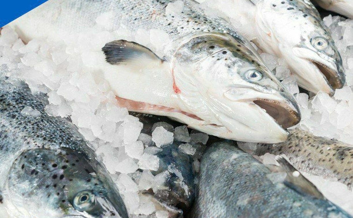 "Торговля на улицах не нужна": жители Ноглик заявили мэру, что им свежей рыбы хватает