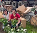Бегонию и бархатцы высадят на клумбах Поронайского района 