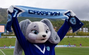 Спорт
