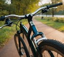 Сахалинца будут судить за кражу велосипеда у соседки