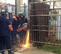 Незаконный забор у "Аралии" в Южно-Сахалинске под крики "Ура" спилили спасатели