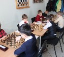 В областном первенстве по шахматам участие приняли 75 юных спортсменов