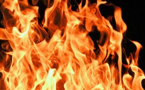 Происшествия