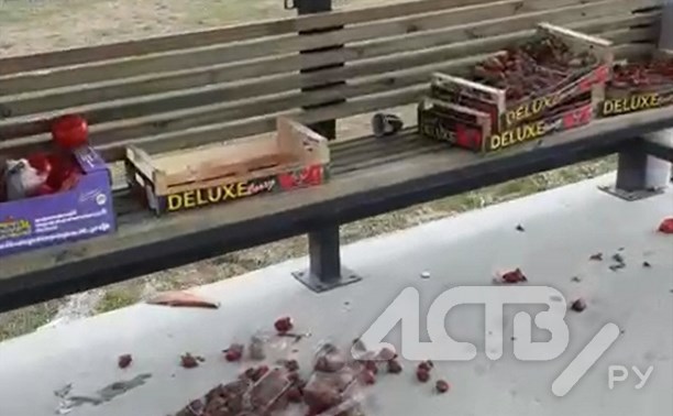 "Цой жив, клубника нет": в Южно-Сахалинске гнилой ягодой завалили остановку с лидером группы "Кино"