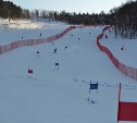 Отборочные этапы абсолютного первенства области по горнолыжному спорту проходят на Сахалине