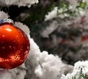 Какой будет погода на Новый год в Сахалинской области: прогноз для всех районов