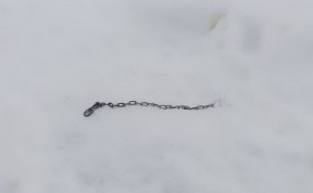 Общество