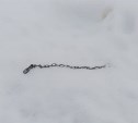 Не повезло: житель Сокола приехал домой и не нашел его