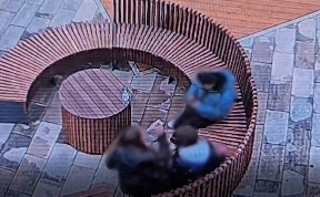 Происшествия