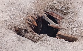 Общество