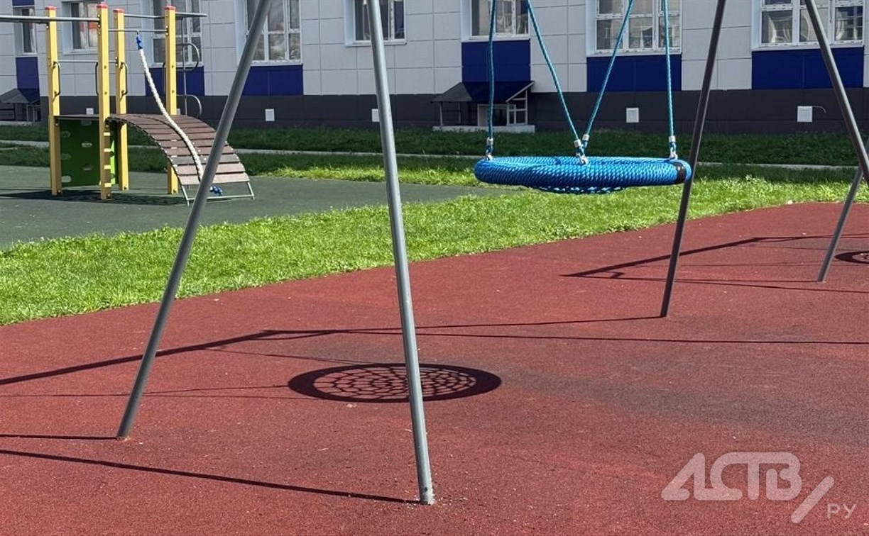 Хитрый ход: управляющая организация убрала пчёл с качелей на детской площадке в Троицком