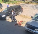 Уголовное дело возбудили после инцидента с намеренным наездом на жителя Южно-Сахалинска 