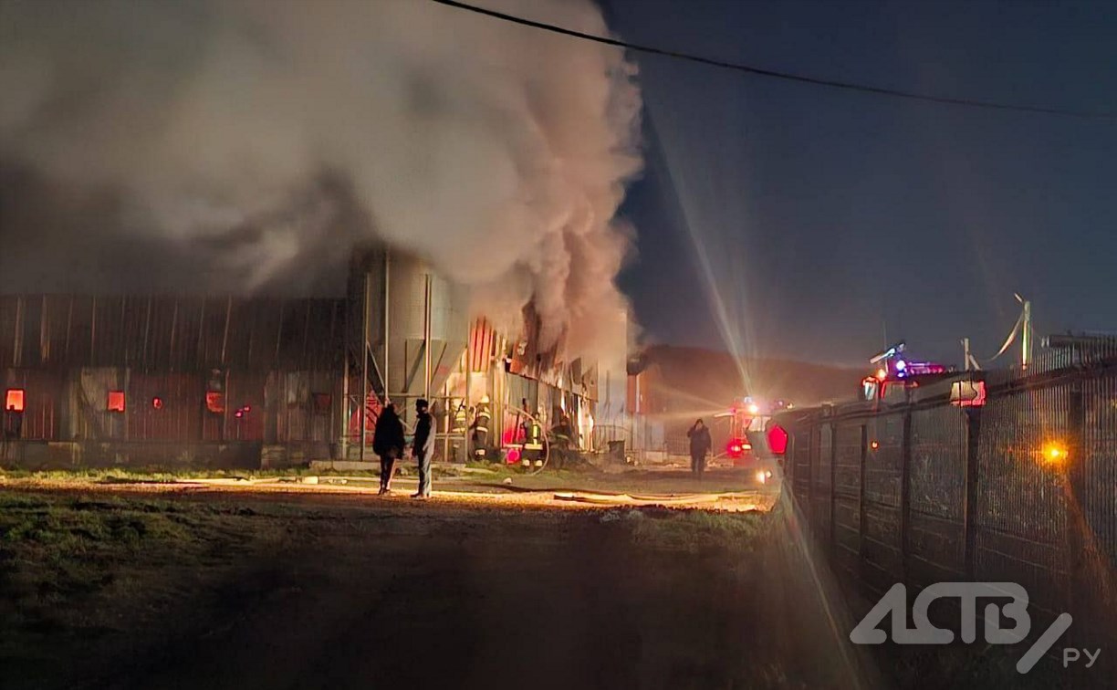 Около 1500 животных погибли в крупном пожаре в Анивском районе
