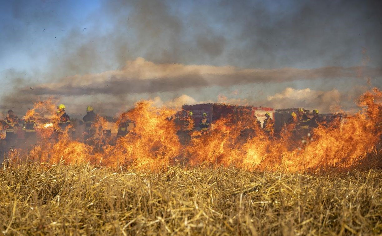 Пожар на Сахалине охватил 10 тысяч квадратных метров